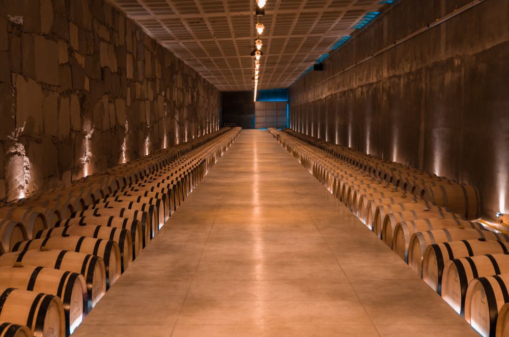 Fûts de chêne pour le vieillissement du vin dans une cave souterraine